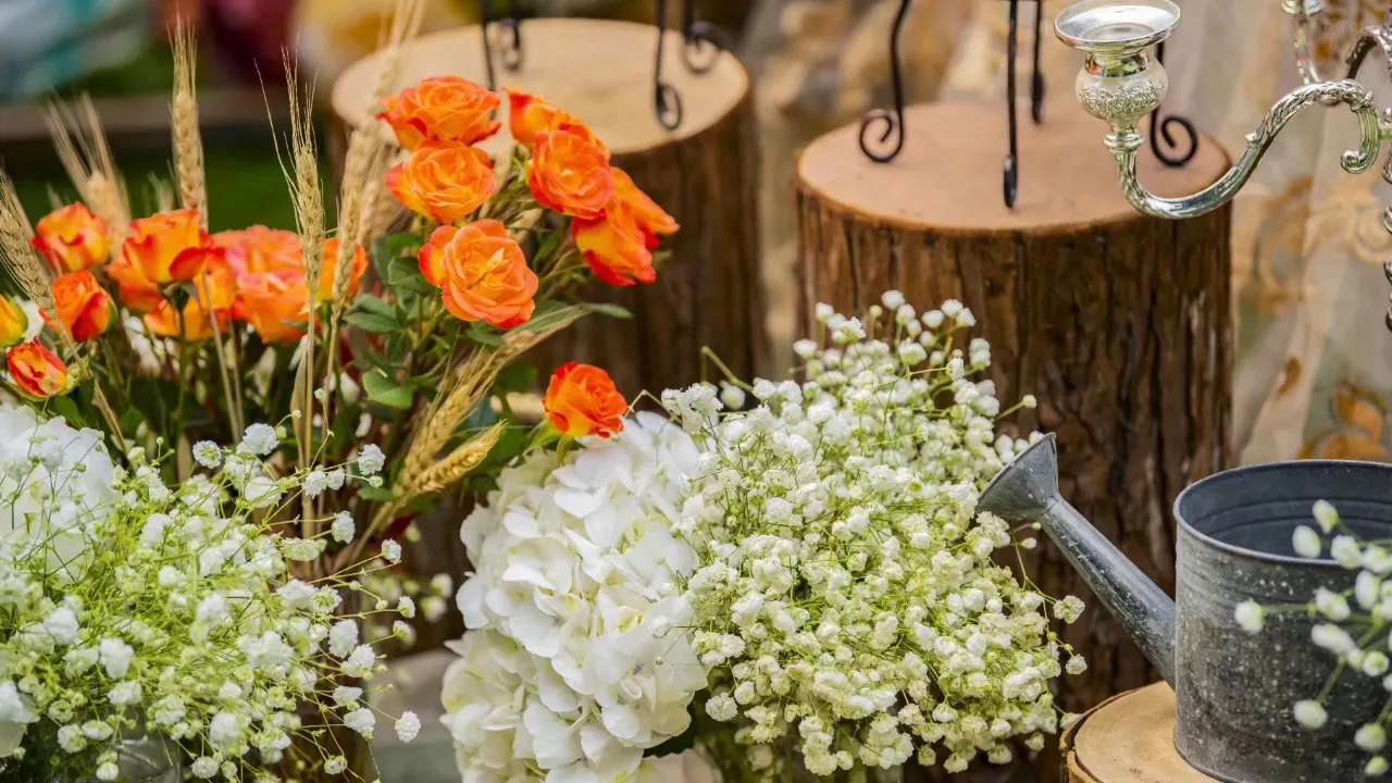 parc safari de Chimelong (25)