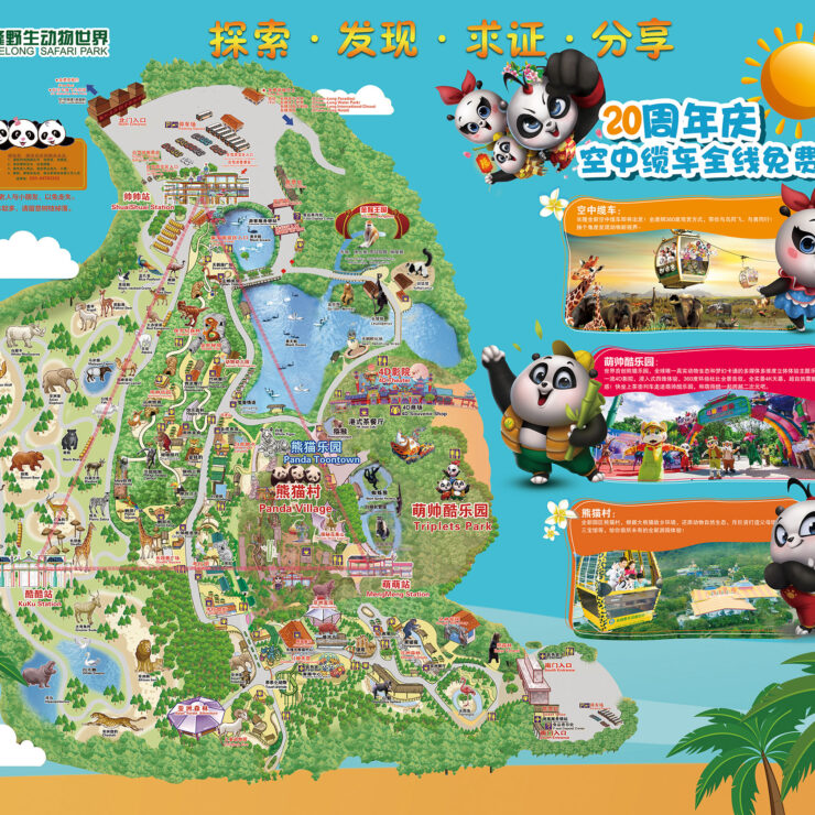 Your Chimelong Safari Park Checklist: Must-See Animals & Shows