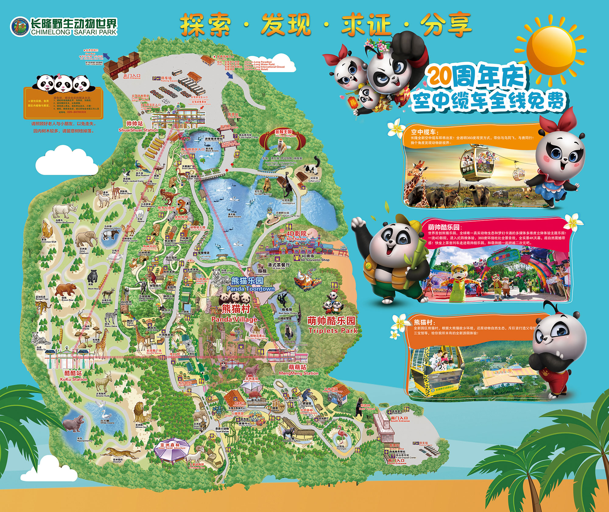 Your Chimelong Safari Park Checklist: Must-See Animals & Shows